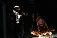 Photo Credit: Freya Ludowici