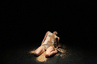 Photo Credit: Freya Ludowici