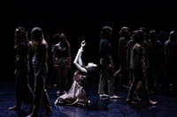 Photo Credit: Daniel Boud