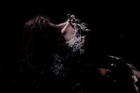 Photo Credit: Madeleine Towler Lovell